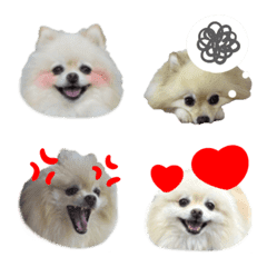 pkadmtqjaemtpae