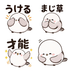Fluffy Shimaenaga Thats Funny
