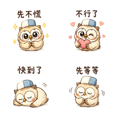 橡皮擦小貓頭鷹表情貼 20260803-11 LINE商品圖片