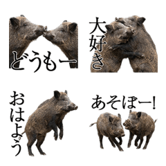 A boar that can be used forever
