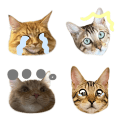 tjdmwuadmwuj