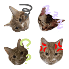 qjadmntpjaemtjb
