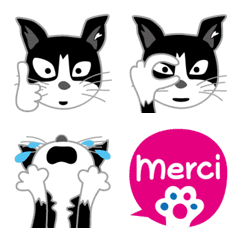 Marseille cats