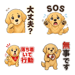Golden Retrievers Used in Disasters