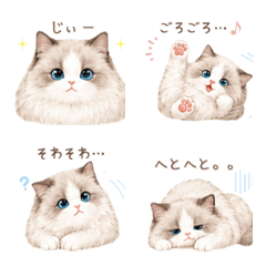 Super Handy Onomatopoeia Fluffy Ragdoll