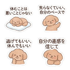 Aphorism poodle