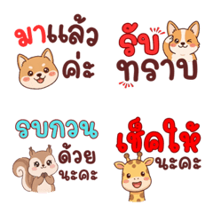 Cute Animal Office Daily Chat