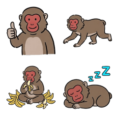 Cute Monkey Reaction Emoji