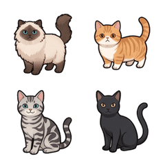 Common cat breeds  emoji