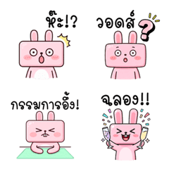 Cute Pink Bunny Work & Chat