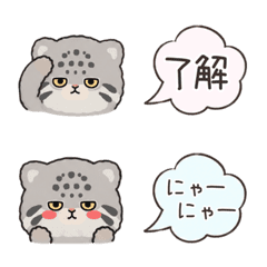 Pallas's Cat x Speech Bubble Reaction
