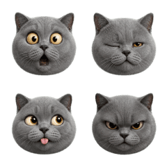 Ash British Cat LINE Emoji Many Moods