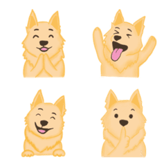 Little Doggy