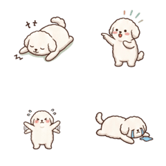Daily Life - Bichon Frise B1