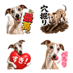 Happy Whippet Emoji