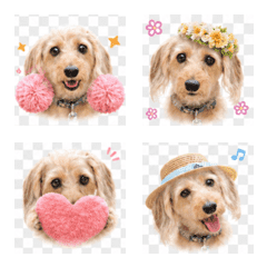 Powerful Momoko Emoji