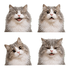 uumi made emoji187