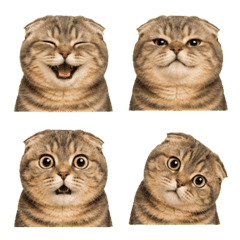 uumi made emoji188