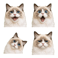 uumi made emoji186