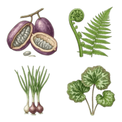 Life with Wild Mountain Vegetables