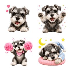 Everyday Miniature Schnauzer Emoji