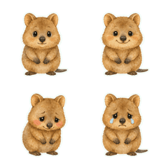 クオッカの水彩1