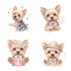 Arotan the Cute Yorkie