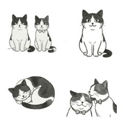 Daily Emoji: Tuxedo Cat