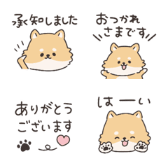 Shiba Inu♡Respostas fofas
