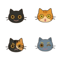 All the emotions of a cat