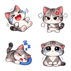 Deadpan Kitty Daily Reaction