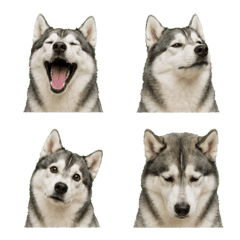 uumi made emoji192