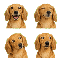 uumi made emoji194