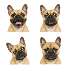 uumi made emoji195