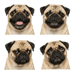uumi made emoji196