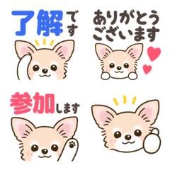 Lovely Chihuahua Reaction Emojis
