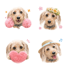 パワフルももこ絵文字