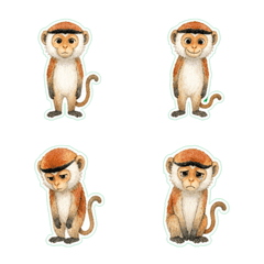 Patas monkey Watercolor 1