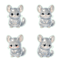 Long-tailed chinchilla Glass 1