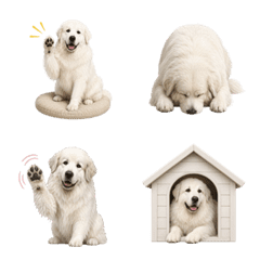 น่ารัก! เกรทพิเรนีส