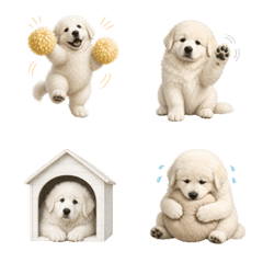 น่ารัก! ลูกสุนัขเกรตไพเรนีส