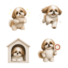 น่ารัก! ชิสุ