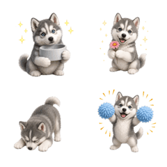 น่ารัก! ลูกสุนัขไซบีเรียนฮัสกี