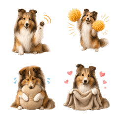 น่ารัก! เชลตี้