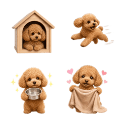 น่ารัก! ทอยพุดเดิ้ล