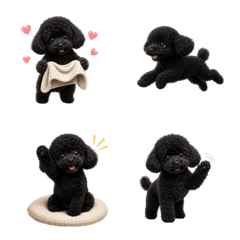 น่ารัก! ทอยพุดเดิ้ลสีดำ