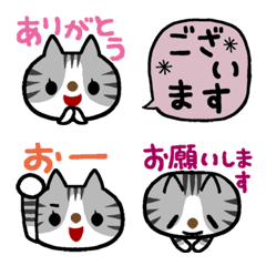SABATORA Cat-with messages(moving)
