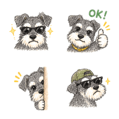 Wild Schnauzer