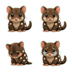 Eastern quoll Plush 1