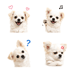 れおの毎日使える絵文字